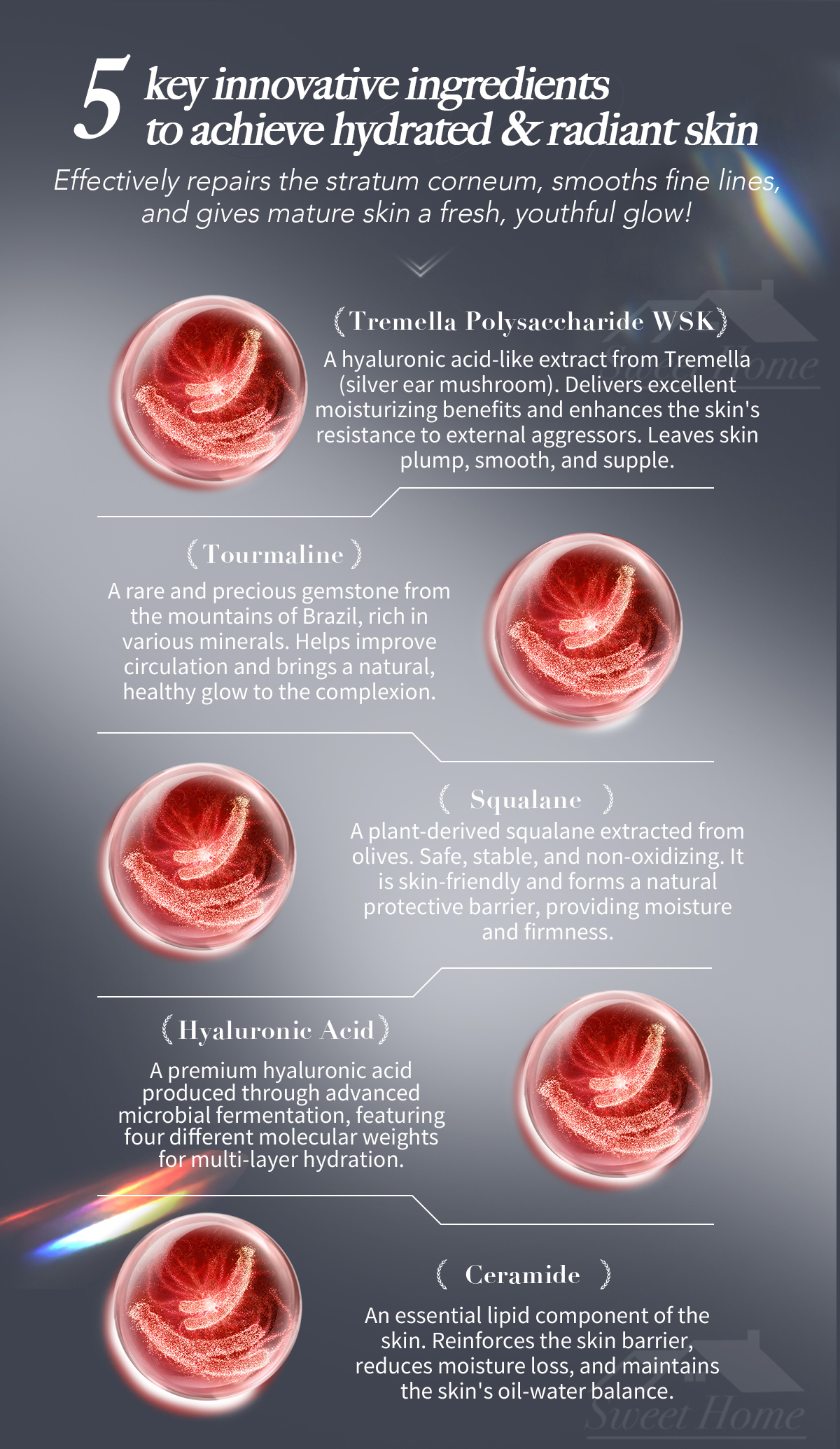 38740-Advanced Anti-Aging Ceramide Squalane Serum-4